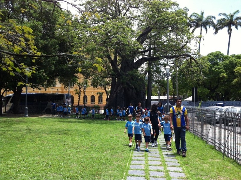 Coordenação Pedagógica do Colégio Marista São Luis - Consolidação do projeto de Educação Infantil Marista São Luis. (2009/2019)