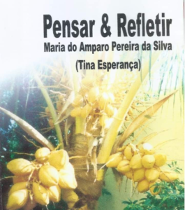 pensar e refletir 2013