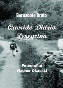 querido diário peregrino