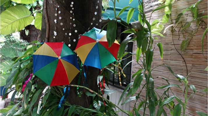 carnaval-cultura-nordestina